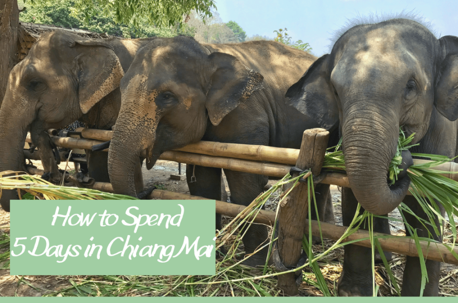 How to Spend 5 Days in Chiang Mai